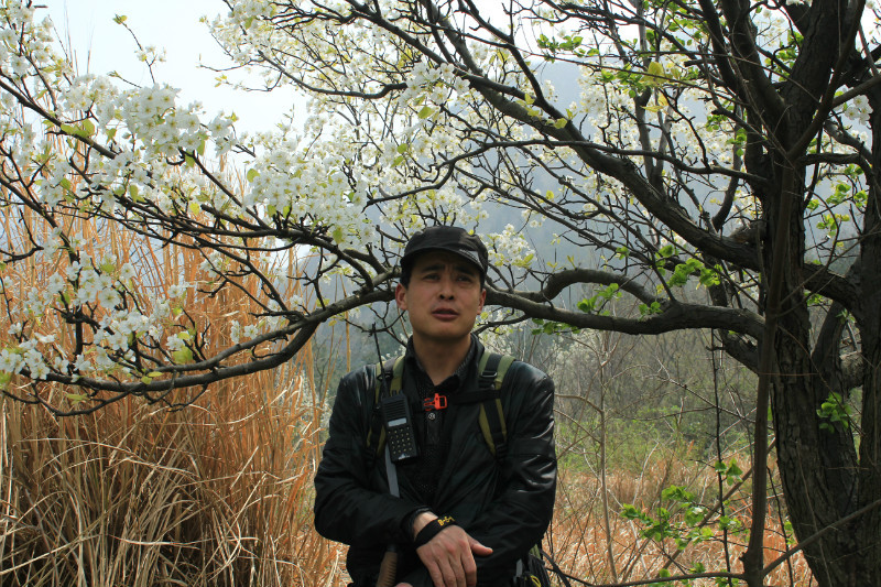 8006.jpg