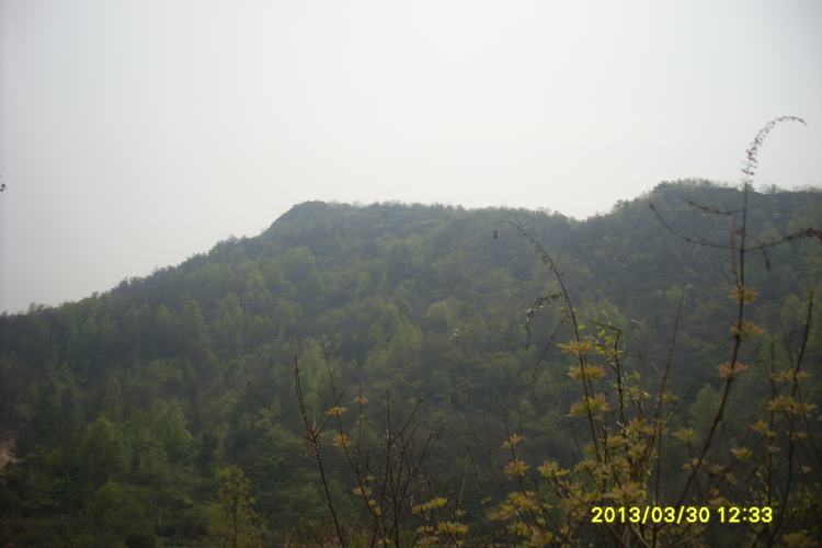 SL382500.JPG