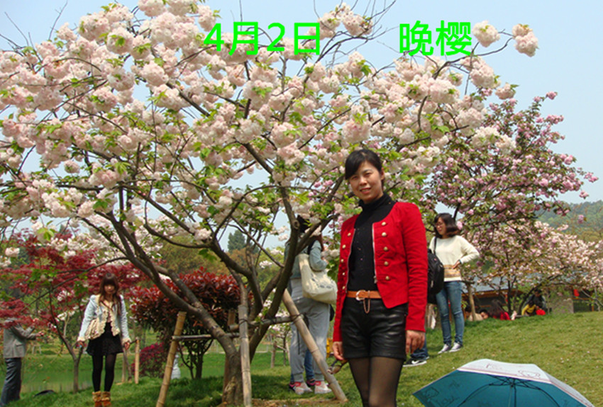 DSC09597_.jpg