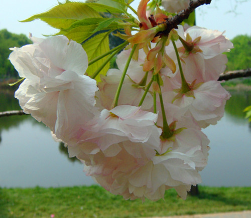 DSC09602_.jpg