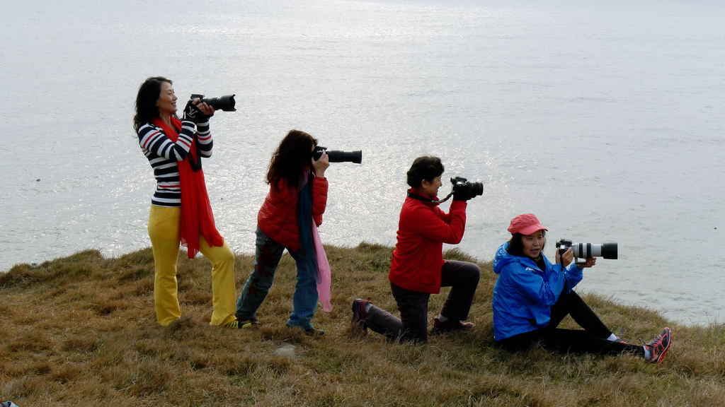 P1190978_.jpg