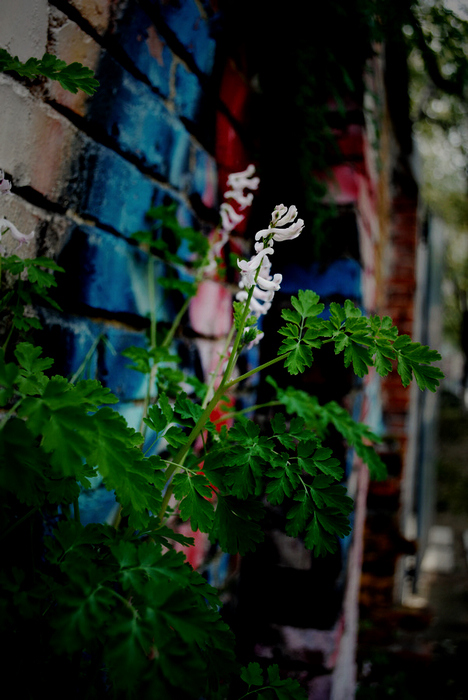 DSC_01511.jpg