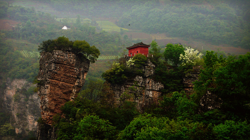P1160671_.jpg
