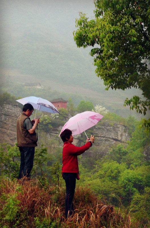P1160688_.jpg