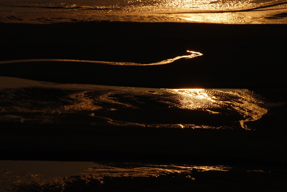 DSC_0064.jpg