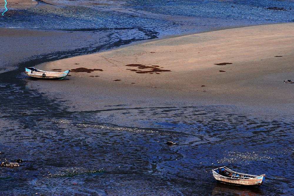 DSC_0130.jpg