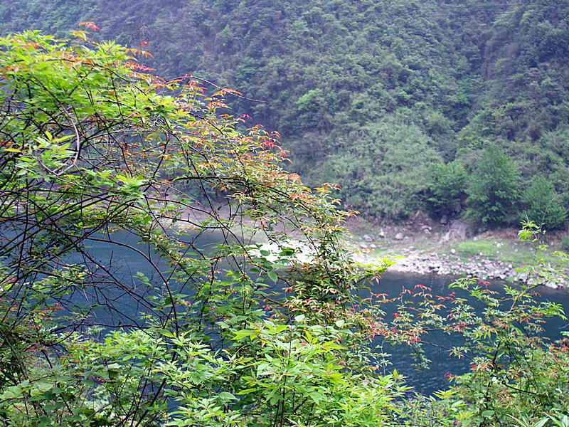 IMGP1545.jpg