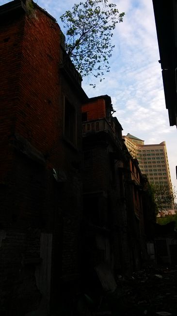 nEO_IMG_IMG_20130407_174953.jpg