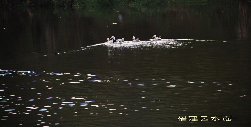 IMG_0475_СС.jpg