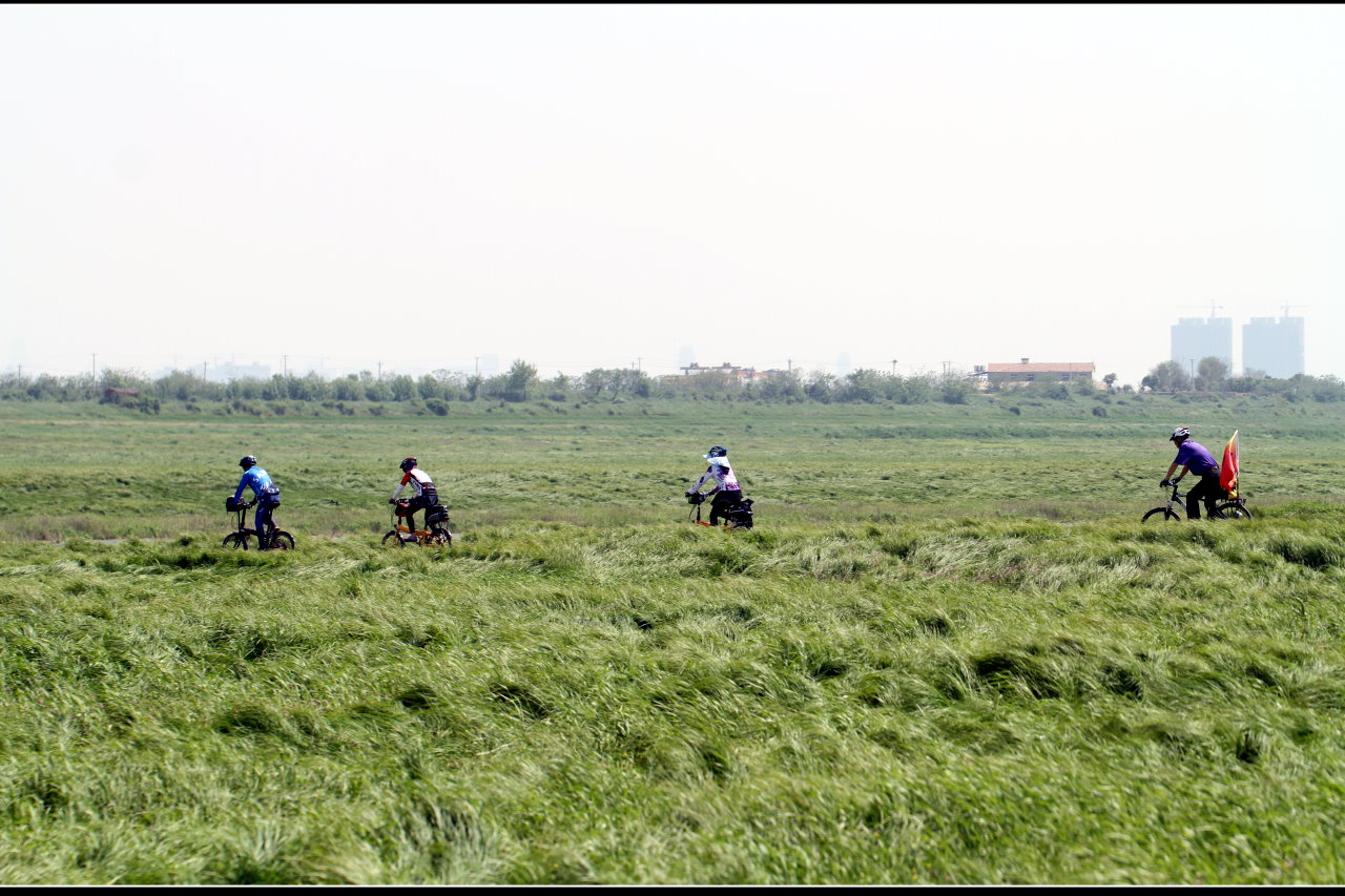 YHJ_2240.JPG