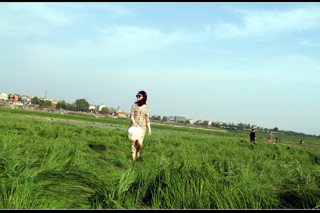 YHJ_2610.JPG