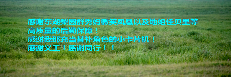 IMG_4764_2.jpg