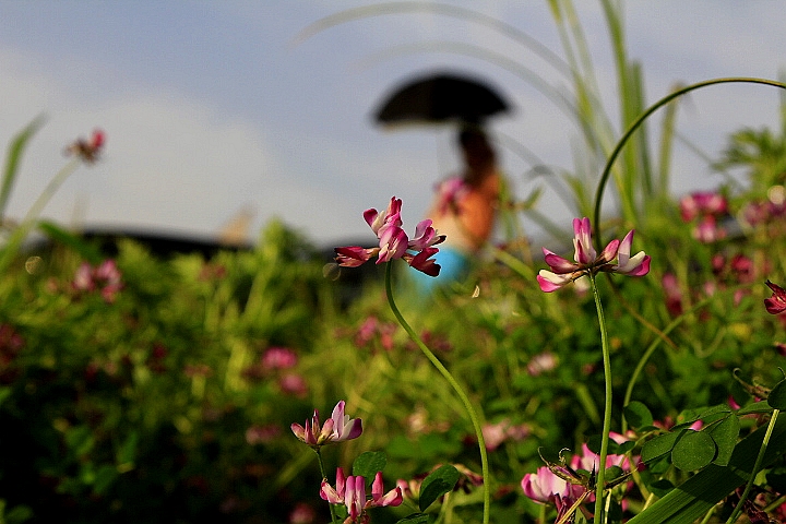 _MG_0103.JPG