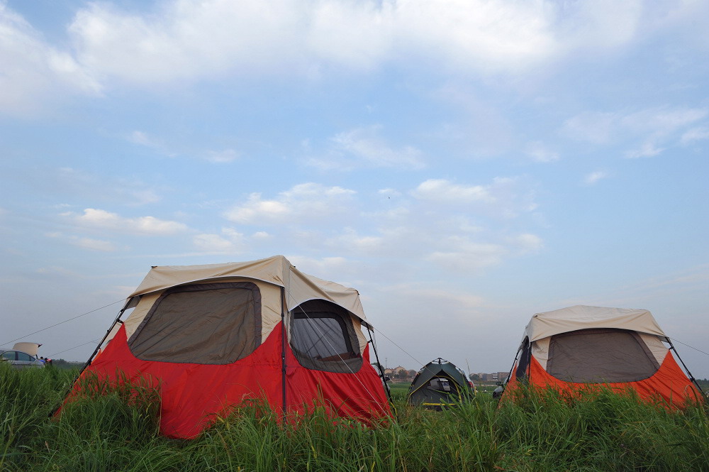 DSC_9113.jpg