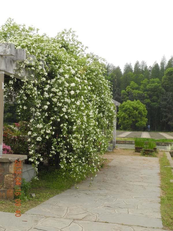 DSCN6581.JPG