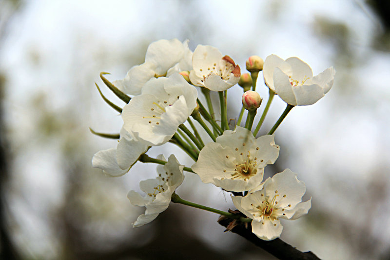 Ƭ 061_.jpg