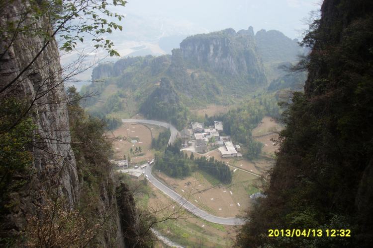 SL382678.JPG