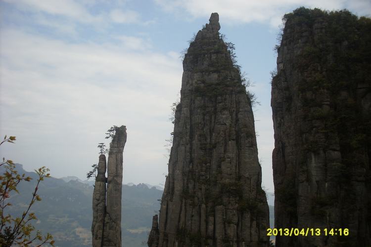 SL382726.JPG