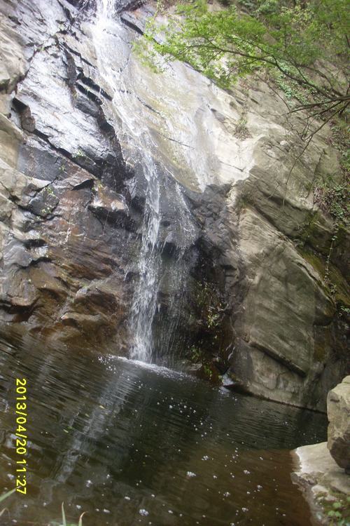SL382981.JPG