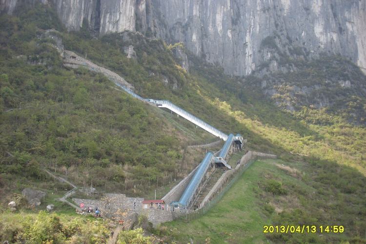 SL382751.JPG