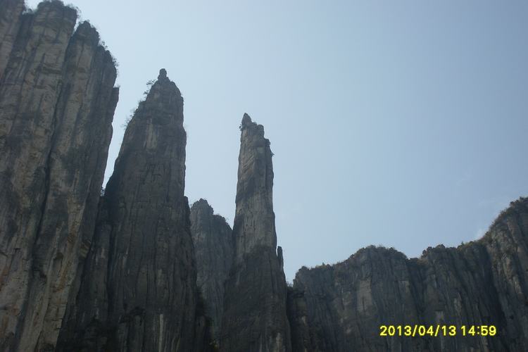 SL382752.JPG