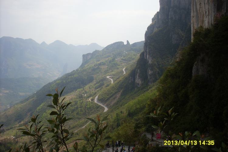 SL382737.JPG