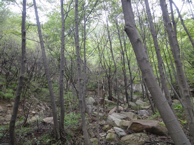 DSC04084.JPG
