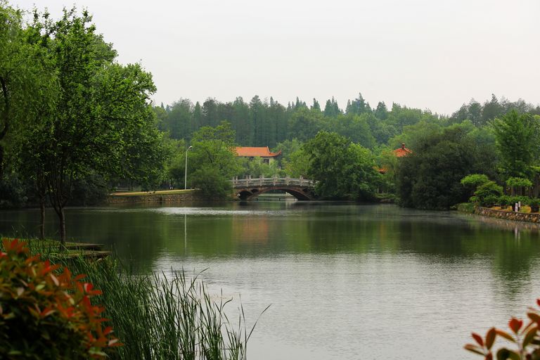 3C1A0298.JPG