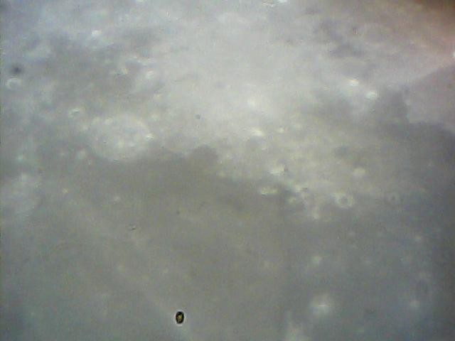  008.jpg