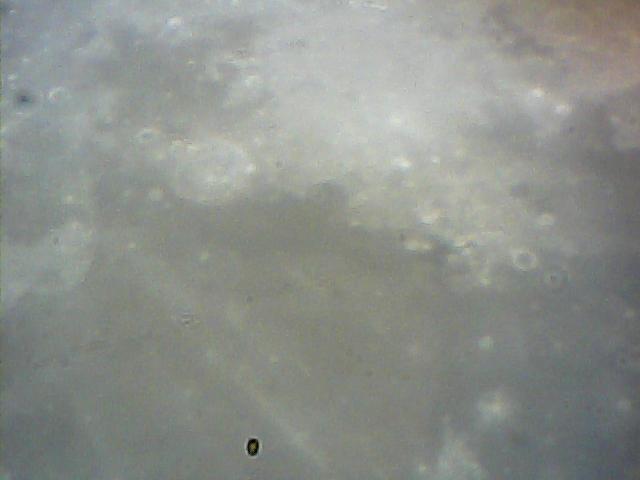  009.jpg