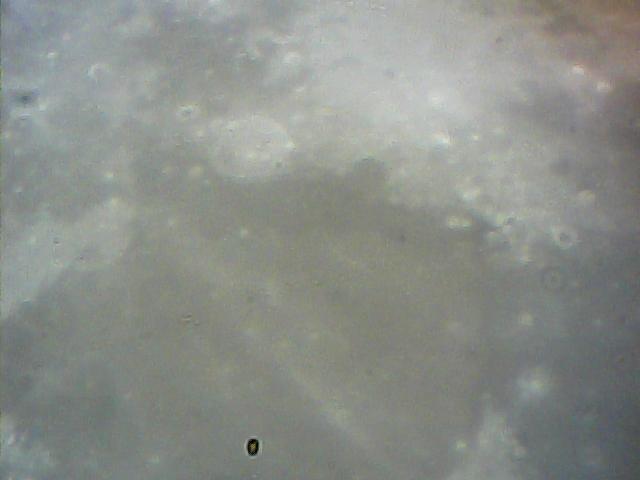  010.jpg