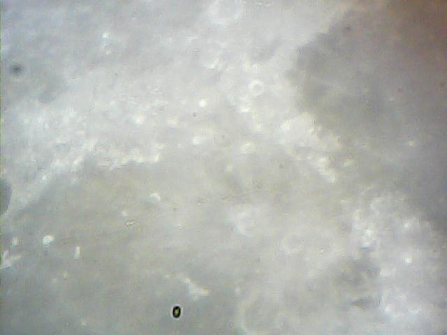  020.jpg