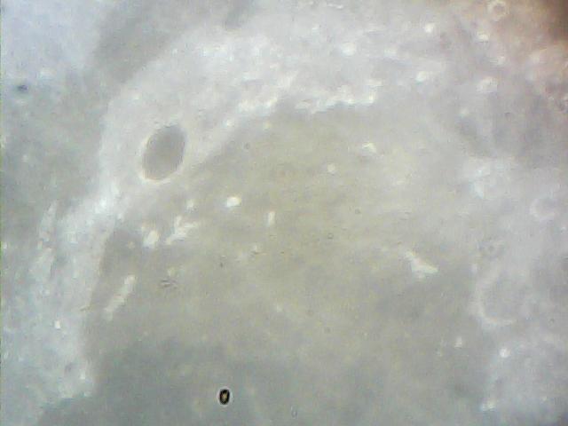  025.jpg