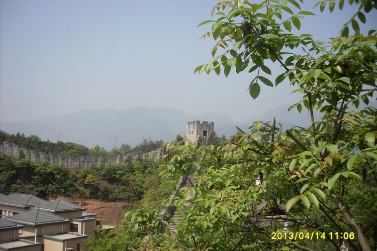 SL382816.JPG