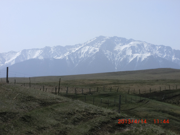 CIMG0051  0.jpg