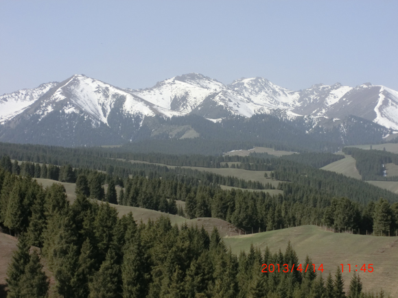 CIMG0053  0.jpg