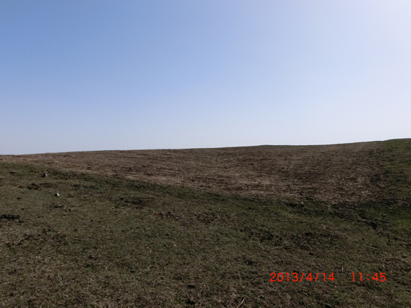 CIMG0054  0.jpg