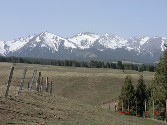 CIMG0063  0.jpg