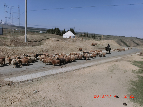CIMG0067  0.jpg