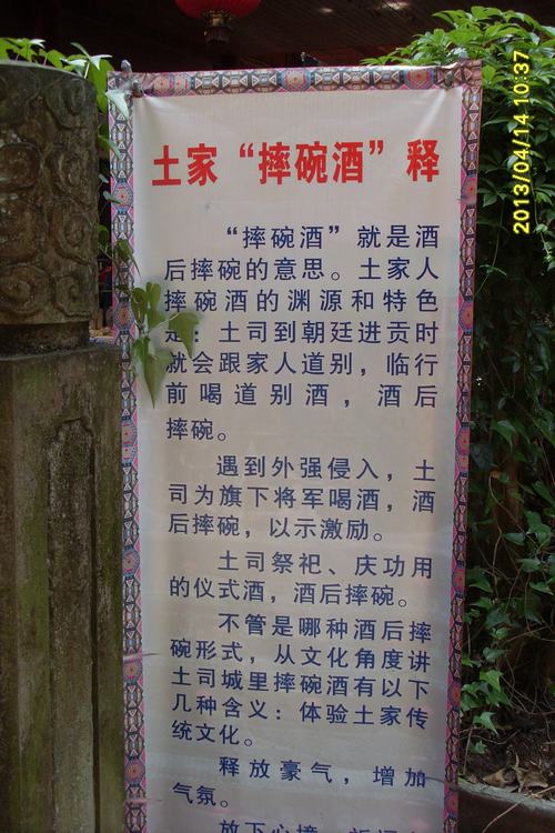 SL382797.JPG