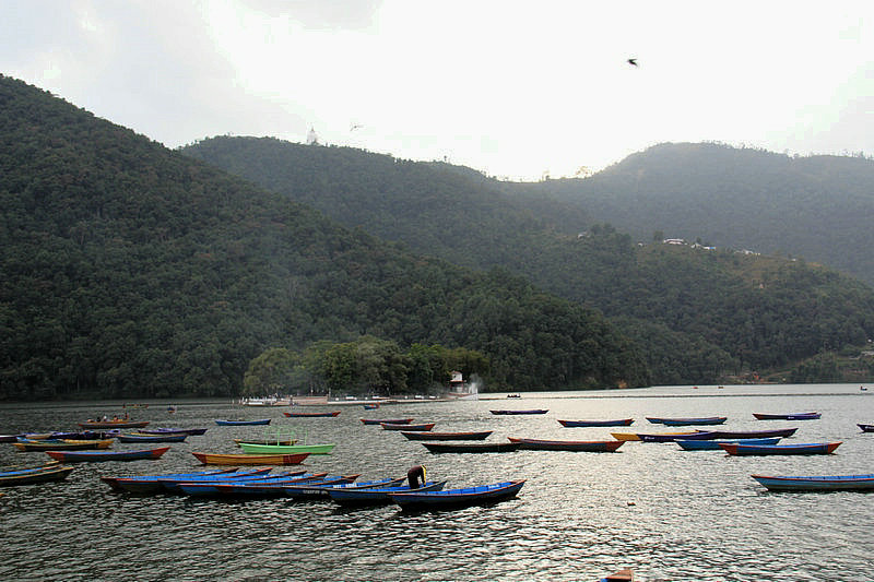 IMG_3300.jpg
