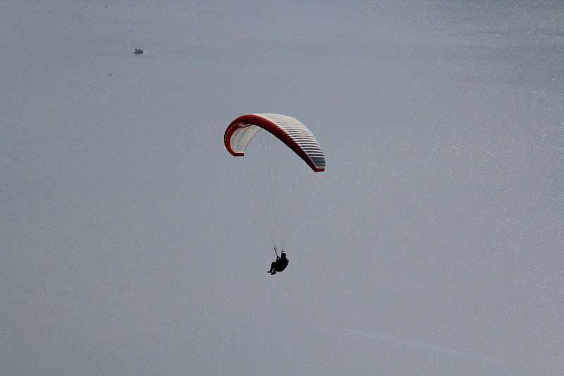 IMG_3377.jpg