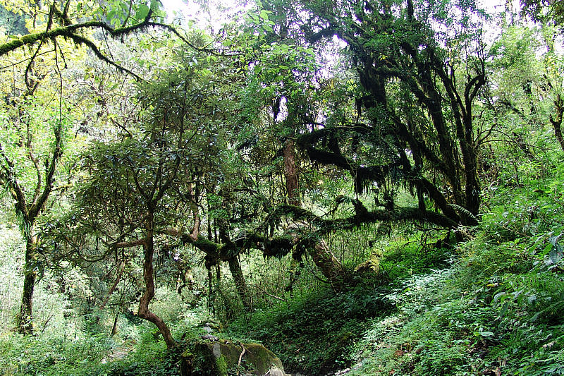 DSC09716.jpg