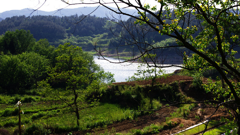 IMGP0178.jpg