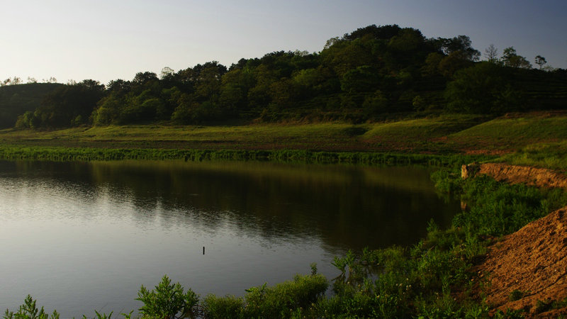 IMGP0206.jpg