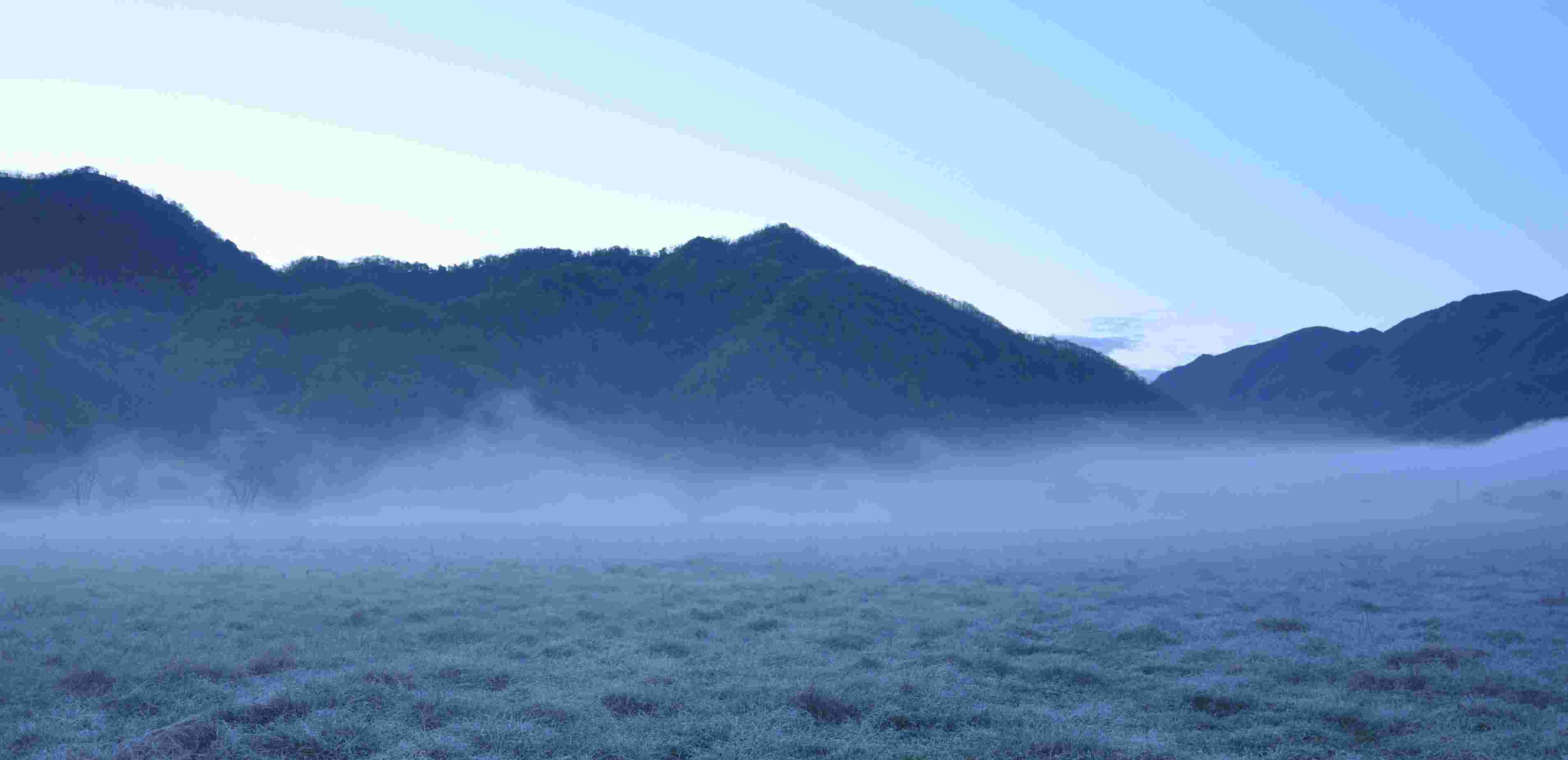 DSC_0571.jpg