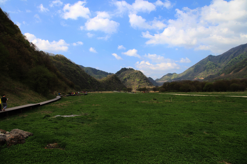 IMG_1985.JPG