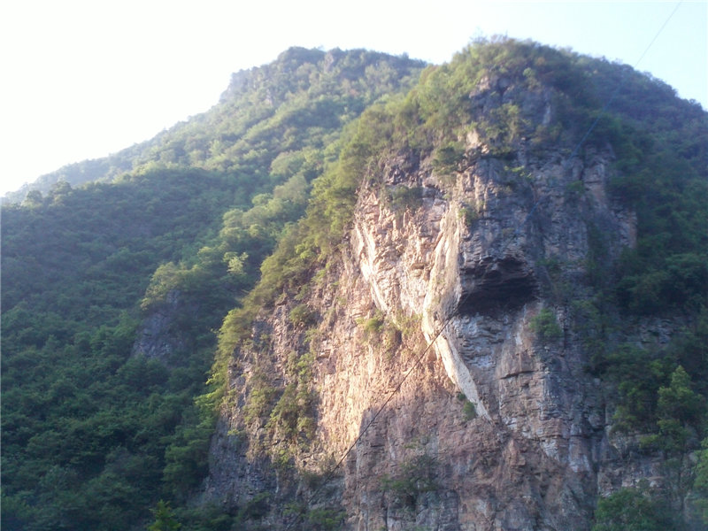 IMG439.jpg