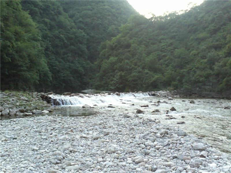 IMG440.jpg