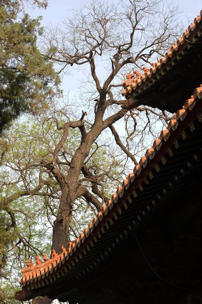 DSC_1697.jpg